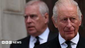 King’s funding for Andrew is not for legal action against police