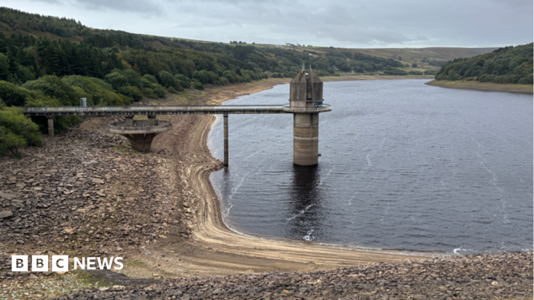 Drought declared in Yorkshire after dry weather