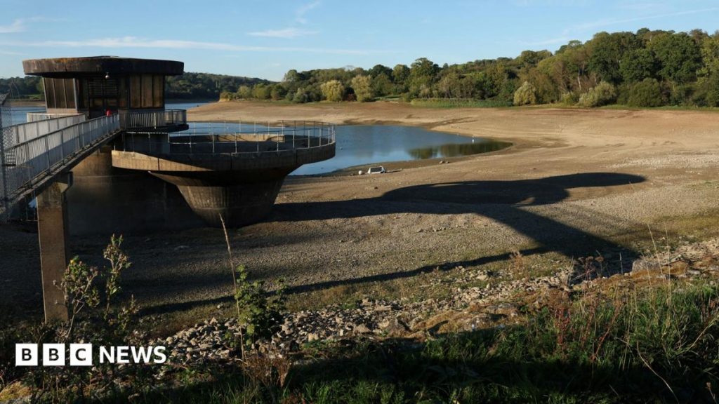 Severe drought declared in parts of southern England Severe drought declared in parts of southern England