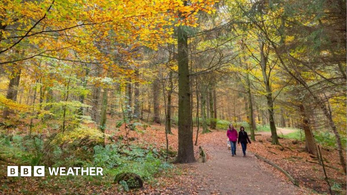 UK weather: Midweek to bring coldest night of the autumn so far