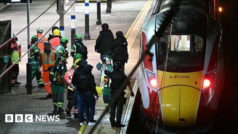 Man accused of mass train stabbing admits wounding