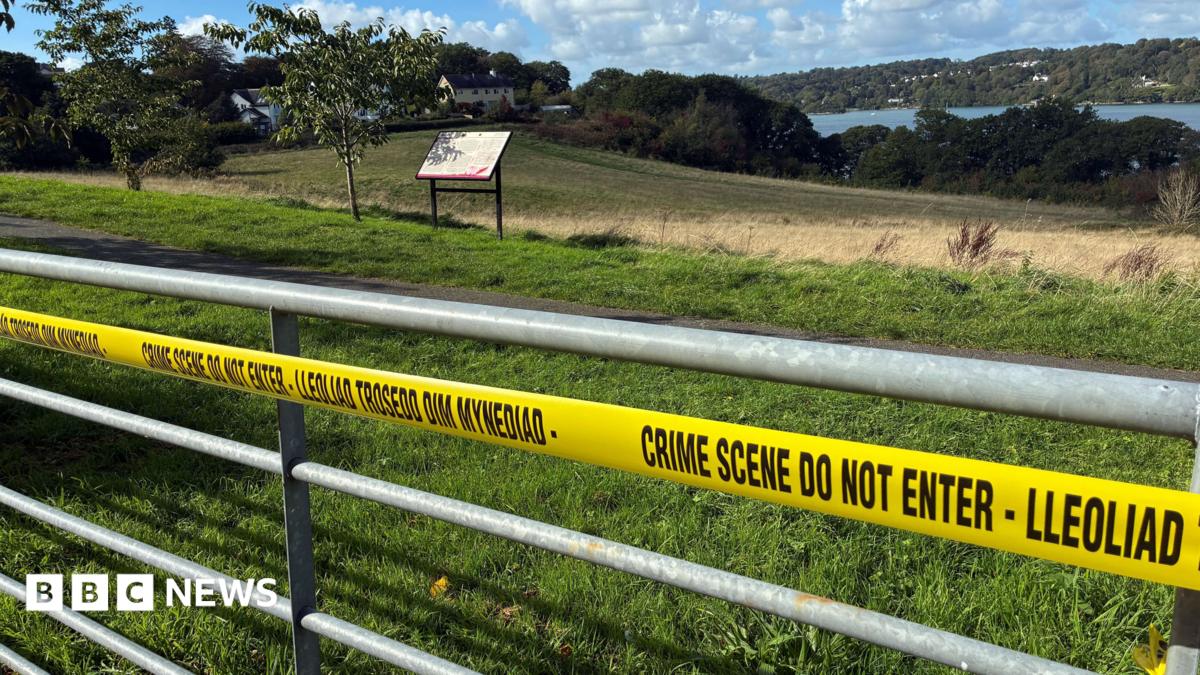 Newborn baby found near Bangor may have been in water for weeks