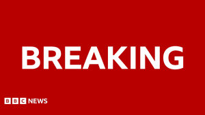 Dawood Safi detained for killing Wayne Broadhurst in Uxbridge Dawood Safi detained for killing Wayne Broadhurst in Uxbridge