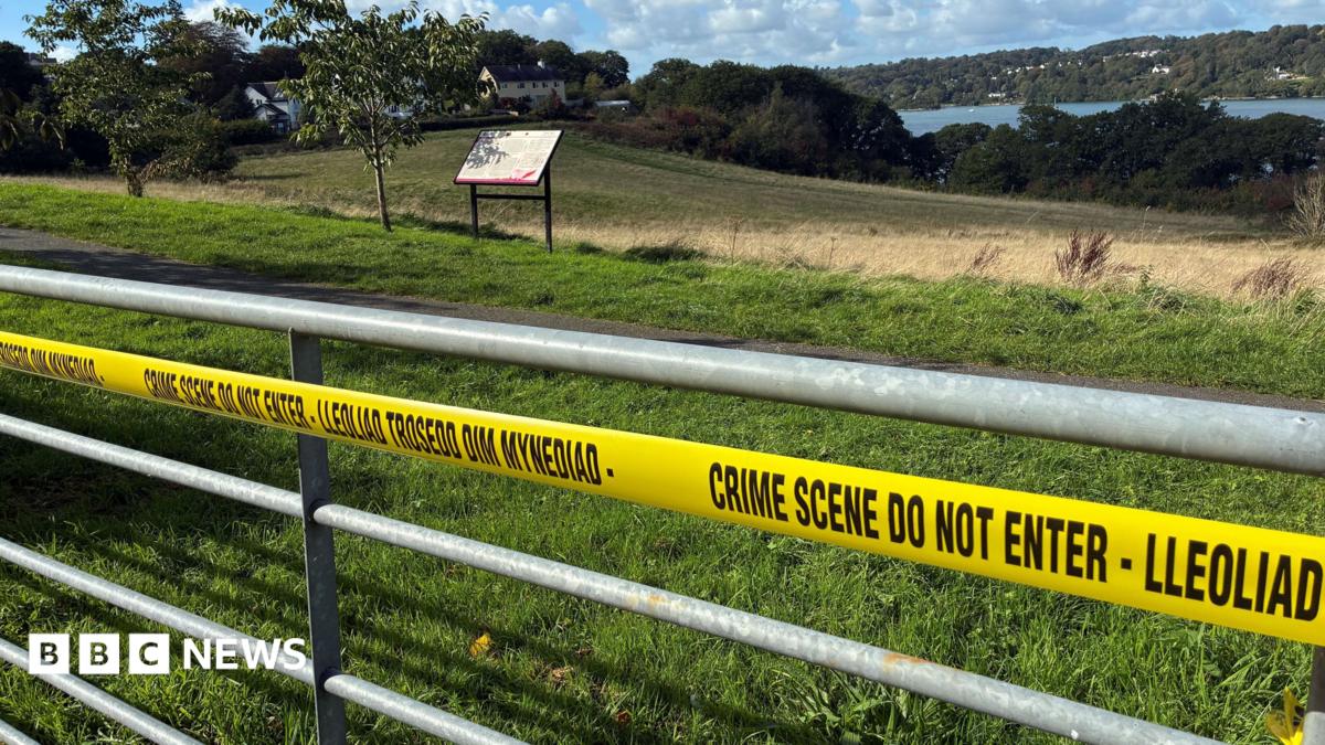 Mum of baby found on Bangor shoreline urged to call special number