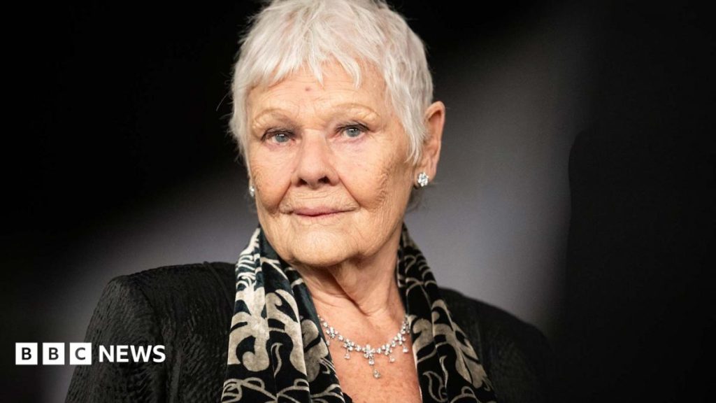 Dame Judi Dench: ‘I can’t do a play, a film or read any more’