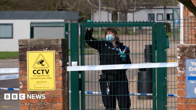 Norwich schoolgirl was stabbed by masked 15-year-old, court hears