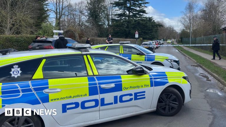 Schoolboy knife attacker texted ‘sorry’ to mum