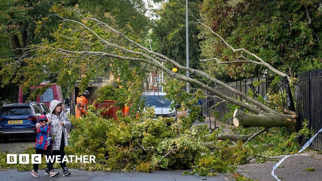 Storm Austen to bring severe gales to UK as weather warning issued