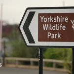 Man dies after tiger attack at Yorkshire Wildlife Park