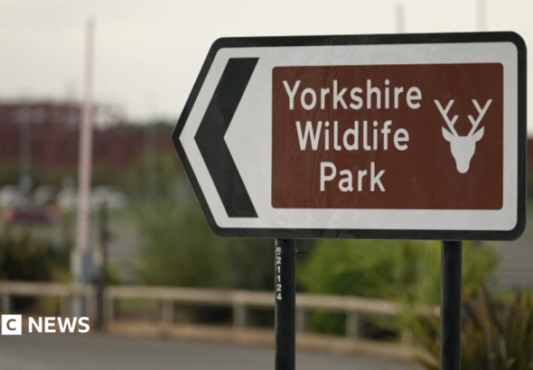 Man dies after tiger attack at Yorkshire Wildlife Park