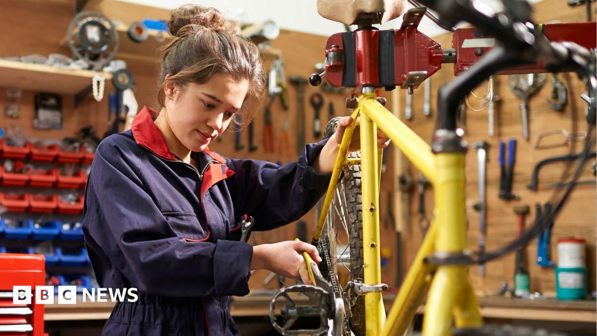 Greens would offer two-year jobs to unemployed under-24s