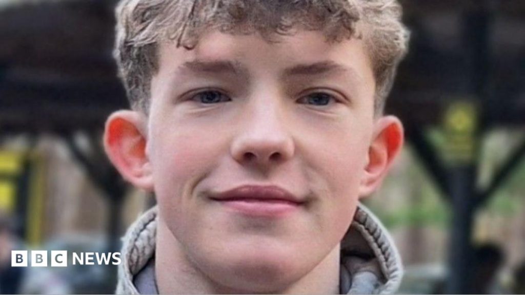 Teen shot friend by mistake, inquest told