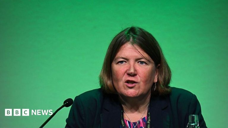 Green Party wants to make sure it is ‘not vulnerable to extremists’