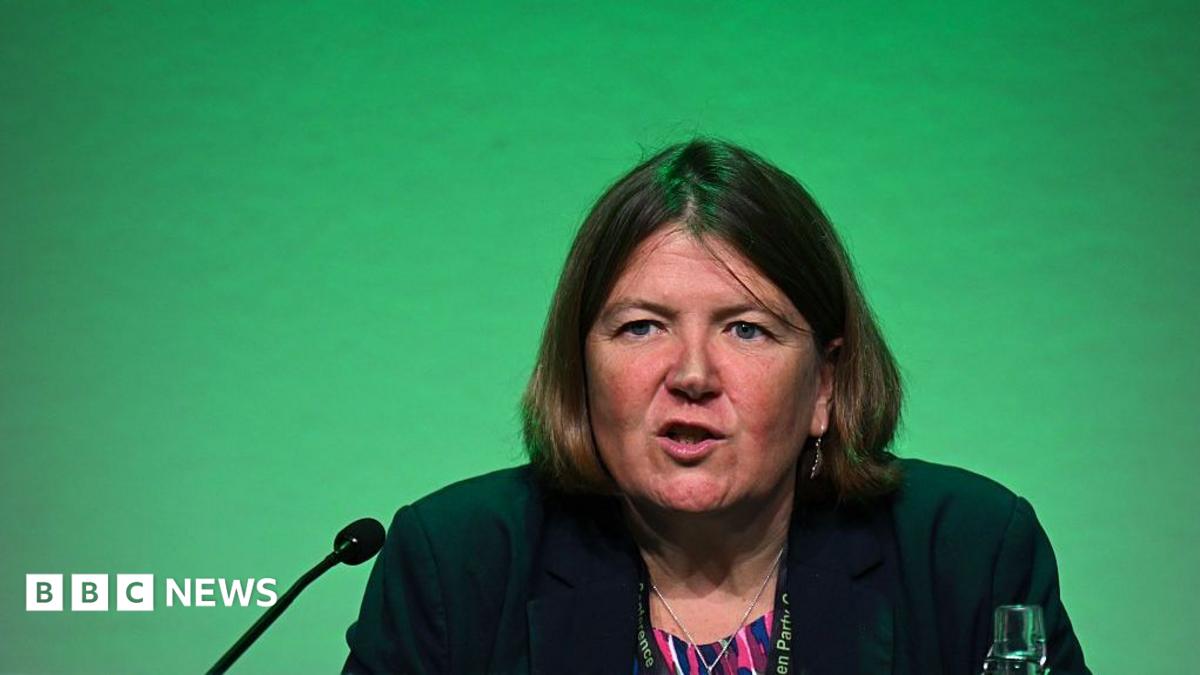 Green Party wants to make sure it is ‘not vulnerable to extremists’